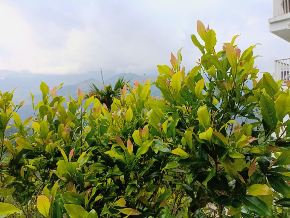 Grace Munnar Residency Bed & Breakfast Exterior photo