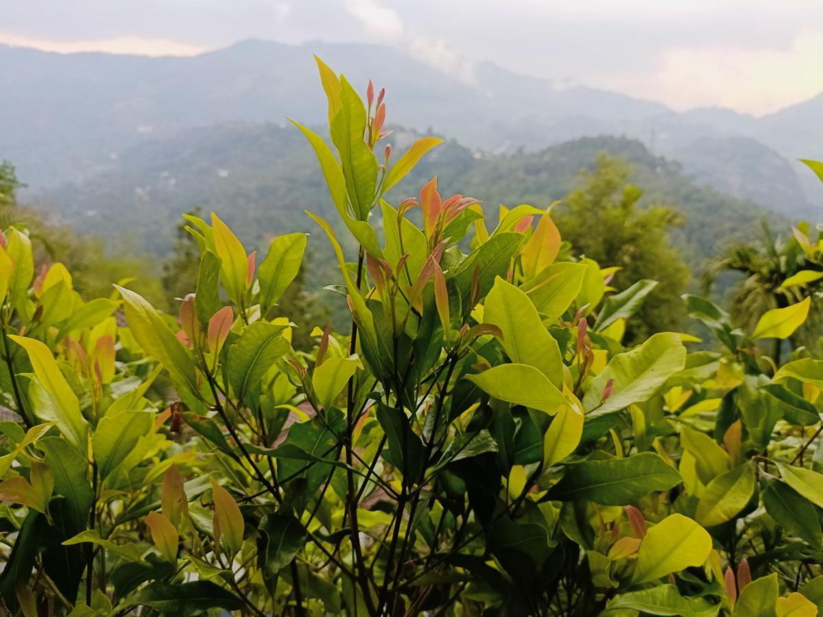 Grace Munnar Residency Bed & Breakfast Exterior photo