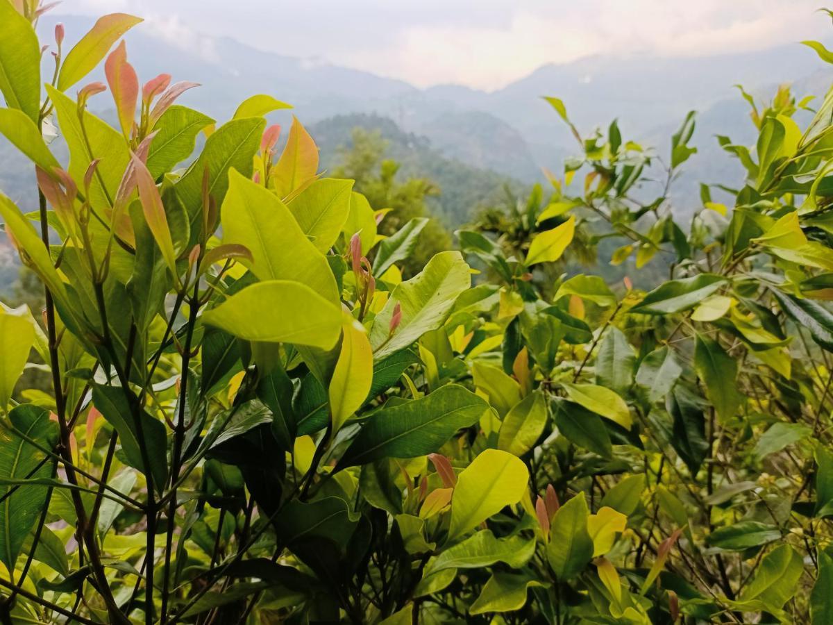 Grace Munnar Residency Bed & Breakfast Exterior photo