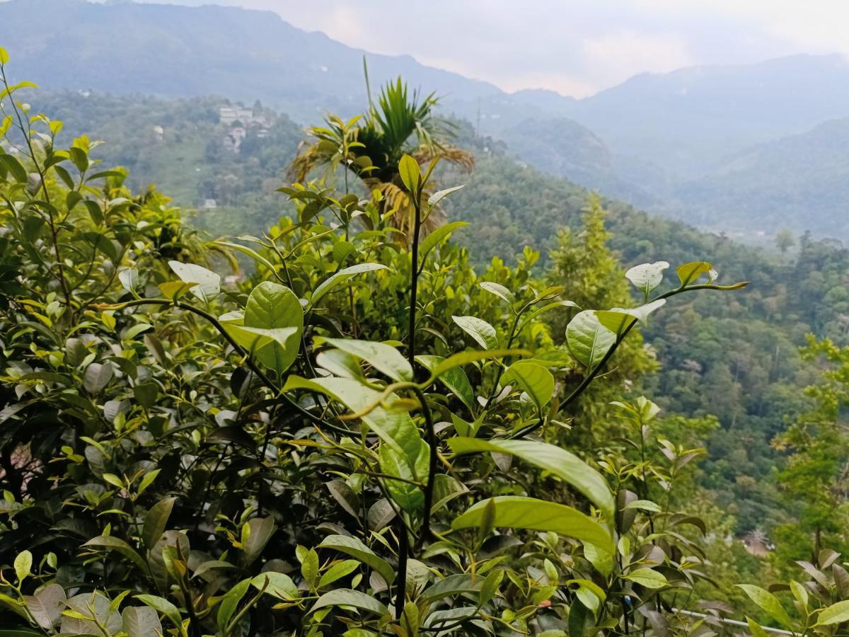 Grace Munnar Residency Bed & Breakfast Exterior photo